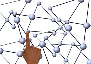 开云体育官网登入-俱乐部多元化：体育之外的跨界合作路径，体育俱乐部现状分析  第3张